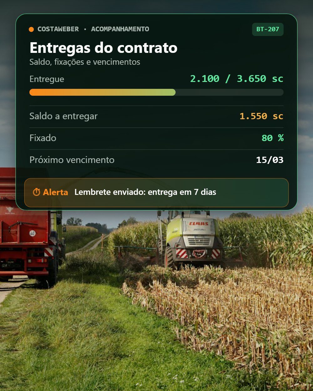 03 · Acompanhamento