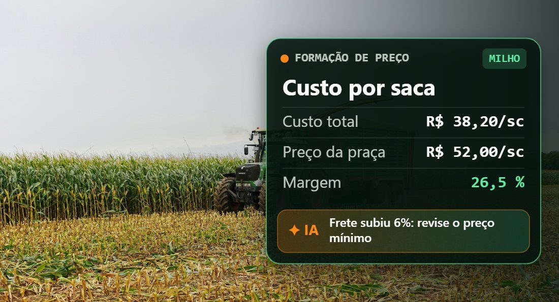 Custos, margens e formação de preços