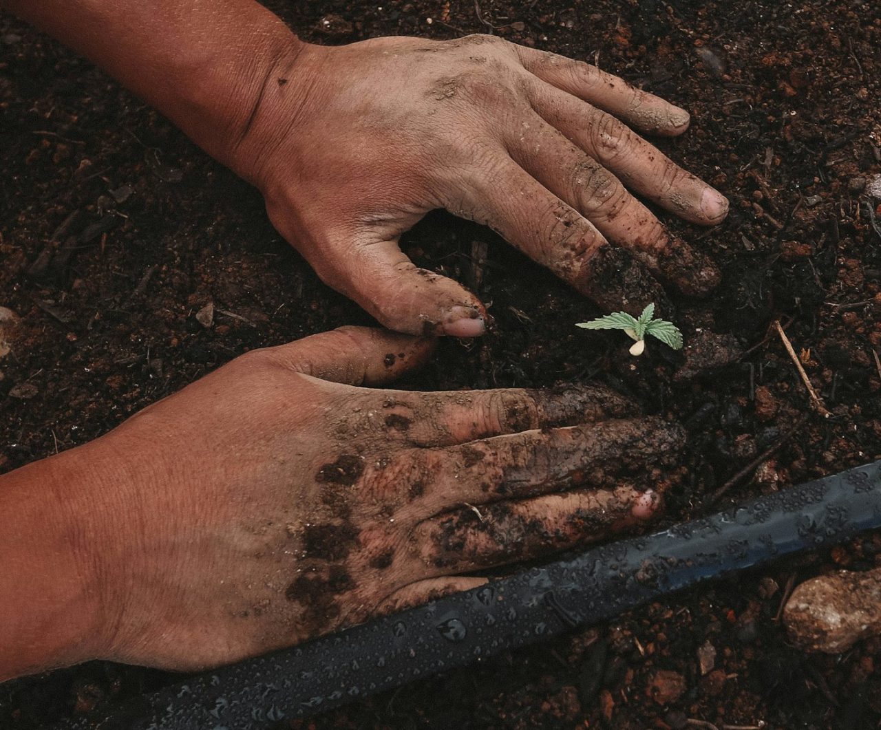 Nascemos da operação real do agro